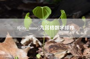 晋江九宫格数字排序
