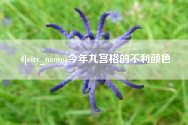晋江今年九宫格的不利颜色