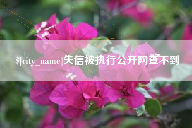 晋江失信被执行公开网查不到