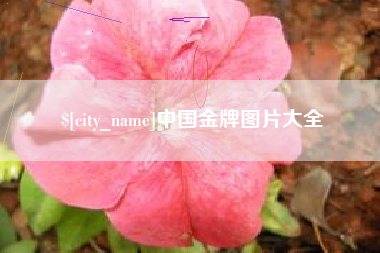 晋江中国金牌图片大全
