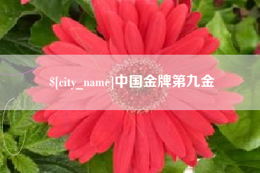 晋江中国金牌第九金