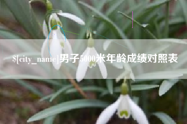晋江男子5000米年龄成绩对照表