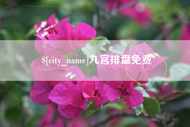 晋江九宫排盘免费