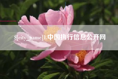 晋江1.中国执行信息公开网