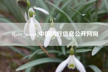 晋江中国执行信息公开网询