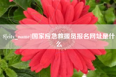 晋江国家应急救援员报名网址是什么