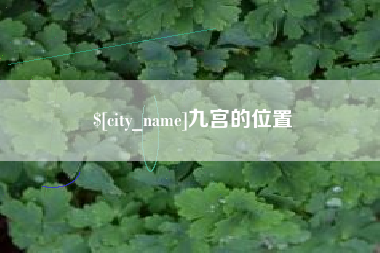 晋江九宫的位置