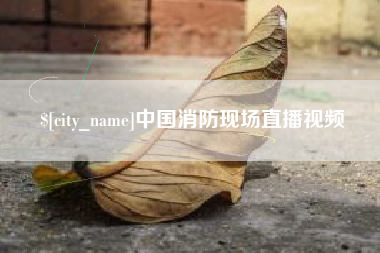 晋江中国消防现场直播视频