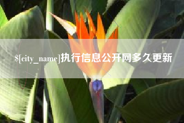 晋江执行信息公开网多久更新