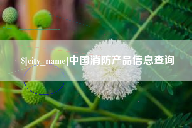 晋江中国消防产品信息查询