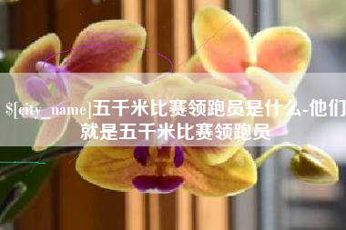 晋江五千米比赛领跑员是什么-他们就是五千米比赛领跑员