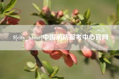 晋江中国消防报考中心官网
