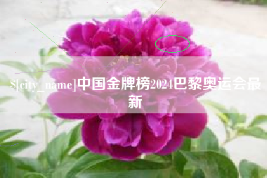 晋江中国金牌榜2024巴黎奥运会最新