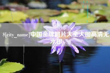 晋江中国金牌图片大全大图高清无水印