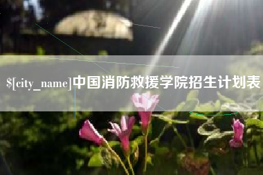 晋江中国消防救援学院招生计划表