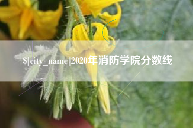 晋江2020年消防学院分数线