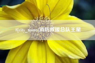 晋江消防救援总队王星