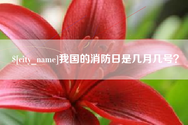 晋江我国的消防日是几月几号？