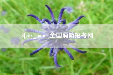 晋江全国消防招考网