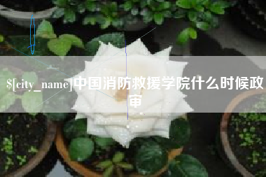 晋江中国消防救援学院什么时候政审