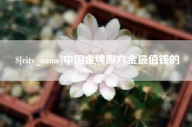 晋江中国金牌哪六金最值钱的