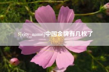 晋江中国金牌有几枚了
