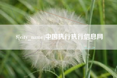 晋江中国执行执行信息网