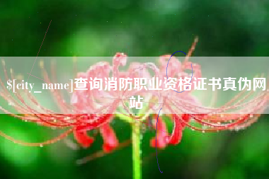 晋江查询消防职业资格证书真伪网站