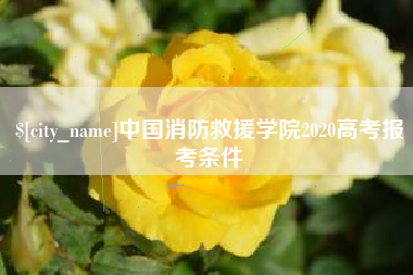 晋江中国消防救援学院2020高考报考条件