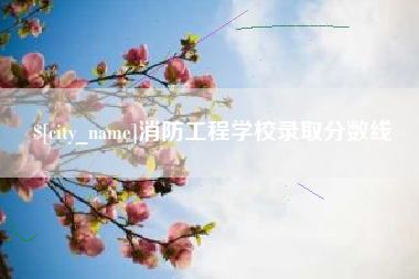晋江消防工程学校录取分数线