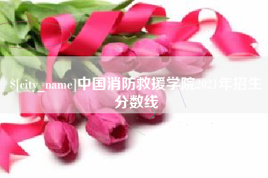 晋江中国消防救援学院2021年招生分数线