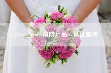 晋江消防产品ccc认证查询