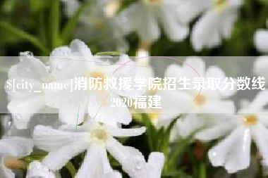 晋江消防救援学院招生录取分数线2020福建