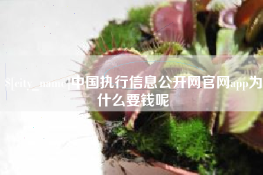 晋江中国执行信息公开网官网app为什么要钱呢