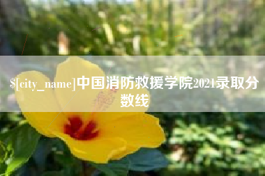 晋江中国消防救援学院2021录取分数线