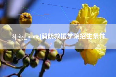 晋江消防救援学院招生条件