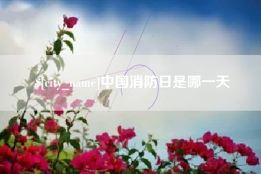 晋江中国消防日是哪一天