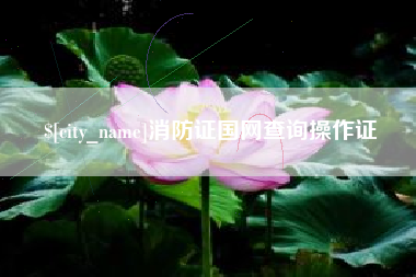 晋江消防证国网查询操作证