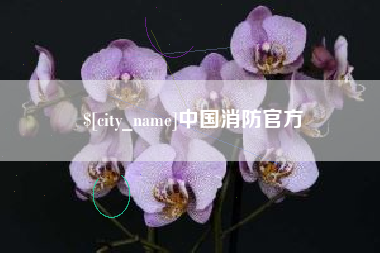 晋江中国消防官方