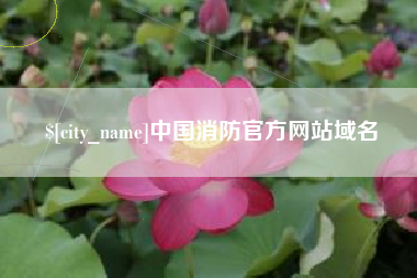 晋江中国消防官方网站域名