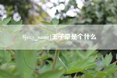 晋江王子豪是个什么