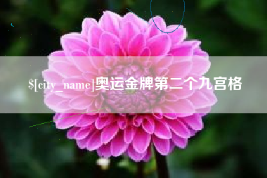 晋江奥运金牌第二个九宫格