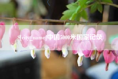 晋江中国5000米国家记录