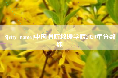 晋江中国消防救援学院2020年分数线