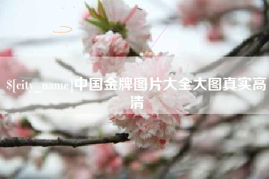 晋江中国金牌图片大全大图真实高清