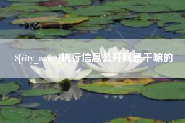 晋江执行信息公开网是干嘛的