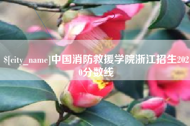 晋江中国消防救援学院浙江招生2020分数线