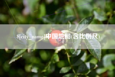 晋江中国地图(含比例尺)