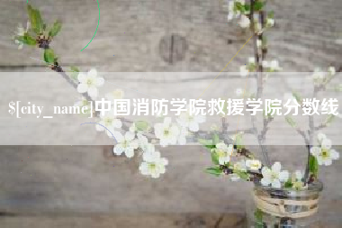 晋江中国消防学院救援学院分数线