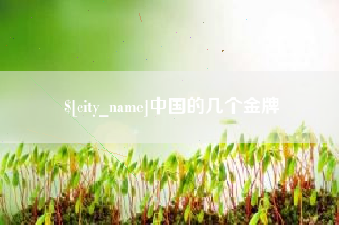 晋江中国的几个金牌